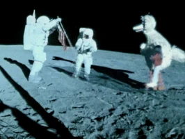 Big Bird PBS interstitial