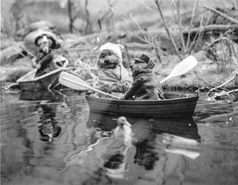 EmmetOtter-ThatsTellinHerAlice.jpg (302 KB)