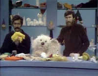 Rufus pops in for a visit.