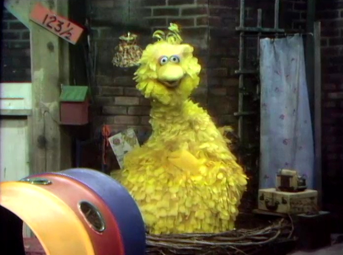 Big Bird - Inside The Birds