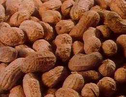 2096i.jpg (68 KB) "Peanut Butter"