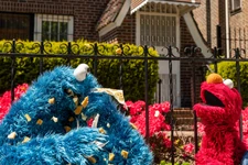 5202-CM.jpg (900 KB)