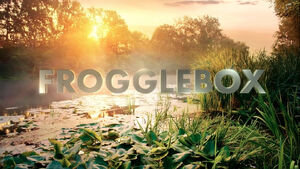 Frogglebox