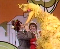 bird watcher & Big Bird The Ed Sullivan Show