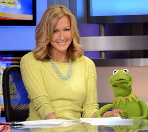 Lara spencer good morning america jan 28 2014.jpg