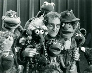 Marty Feldman Muppet Show.jpg (2.22 MB)