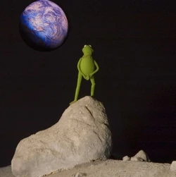 Moon.kermit