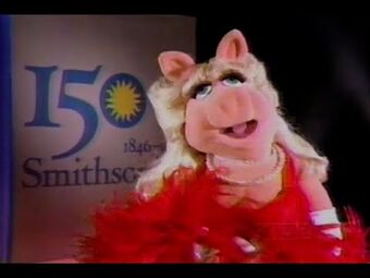 Miss Piggy Puppet  Smithsonian Institution