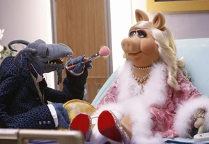 Yet so much more than a seamstress on The Muppets.