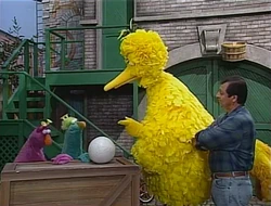 Episode 3691 | Muppet Wiki | Fandom