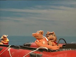 BayPigswatch212.jpg