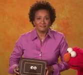 Wanda Sykes' journal