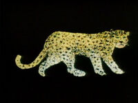 L Leopard Confetti
