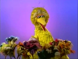 feather duster in Episode 3041