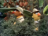 Jungle Search (First: Episode 1736)