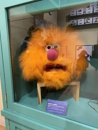 Fozzie Amoeba in 2020