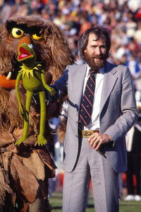 Henson sweetums kermit