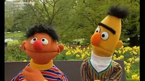 Ernie and Bert Sketches: Sesamstrasse