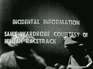 Sam's wardrobe courtesy of Hialeah Racetrack