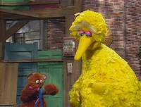 Baby Bear in Sesame Street Episode 3808