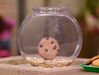 Cookie Sesame Street "Cookie World"