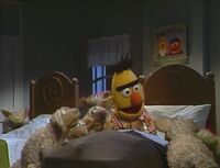 "Bert's Blanket"