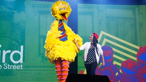 Brandcast-BBLilly.jpg (390 KB) Singh with Big Bird in 2016
