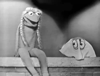 The Steve Allen ShowNovember 4, 1956