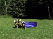 (First: Episode 4020)