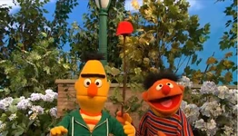 Jumping for Exercise