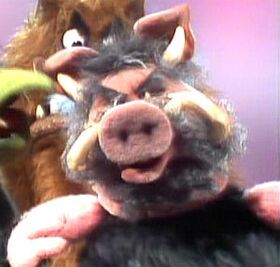 Pigs, Muppet Wiki