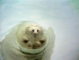 1092-23.jpg (289 KB) "Take a Breath"