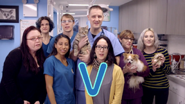 V is for Veterinarian (EKA: Episode 4901)