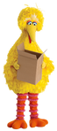 BigBirdBox