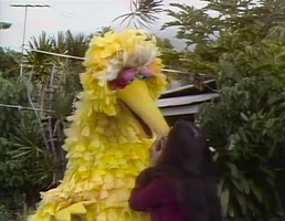 Buffy Sainte-Marie (Buffy) & Big BirdEpisode 1093