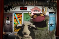 Big Mean Carl shakes a cow since it is time for a milkshake.