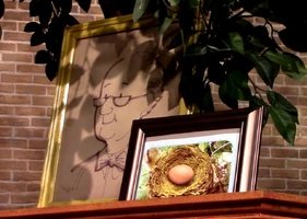 In season 46, Big Bird's nest was situated in a tree, and Mr. Hooper's photo was re-oriented to sit atop one of his cabinets. Since season 55, it has been situated instead on the front-facing side of the cabinet.