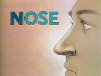 N for Nose (First: Episode 1173)
