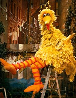 Big Bird Through The Years Muppet Wiki Fandom Big Bird Through The Years Muppet Wiki Fandom