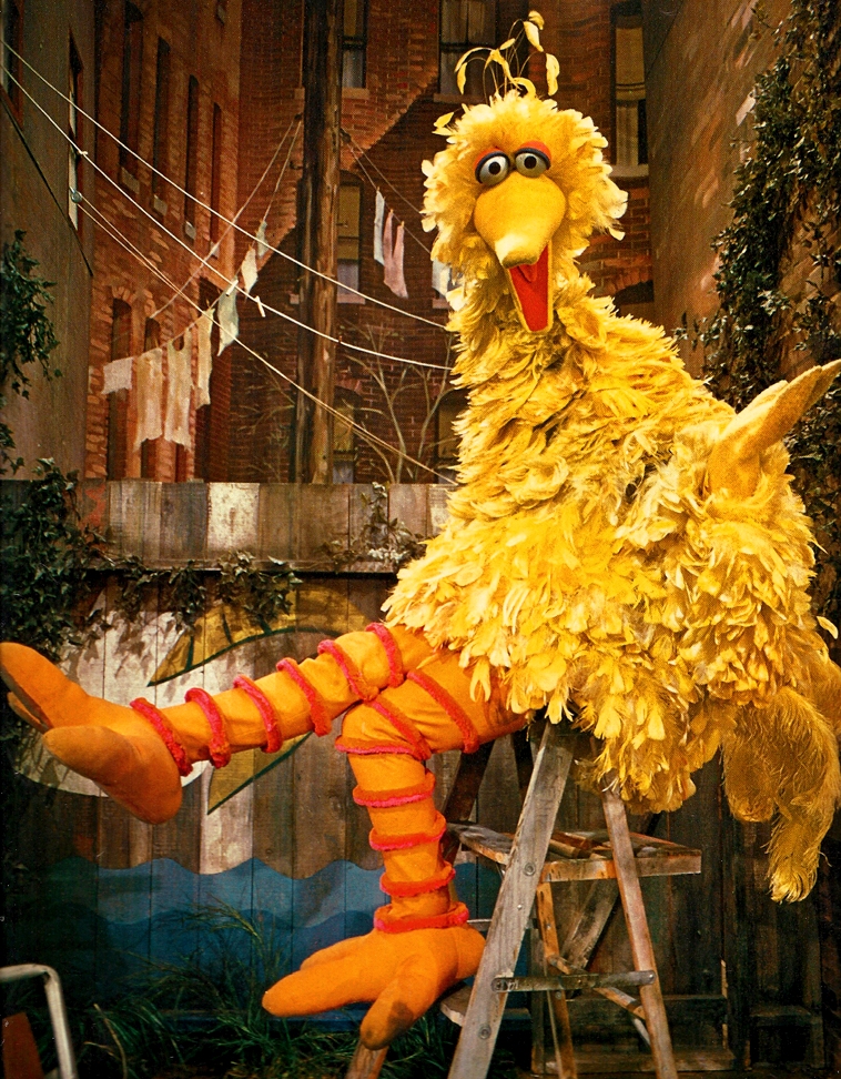 Big Bird, Muppet Wiki