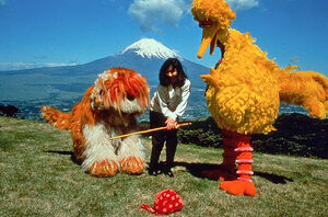 Big Bird in Japan | Muppet Wiki | Fandom
