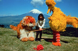 Big Bird in Japan photo Mt Fuji