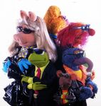 MuppetsCircleShades