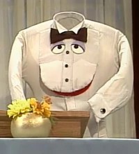 shirt in Sh-Elebrating