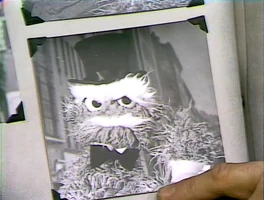 Gramps GrumpsGrandfather