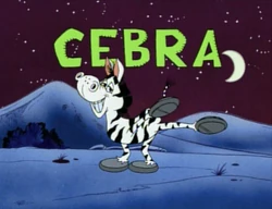 Cebra