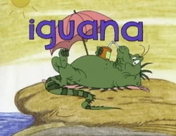 Iguana