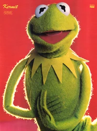 Pop-Rocky-Kermit(20percent).jpg (1.6 MB) Kermit 1980 size DIN A2