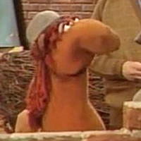 Kentucky Derbies member