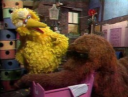 "Big Bird's Lullaby"